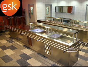 GlaxoSmithKline Gyógyszergyár